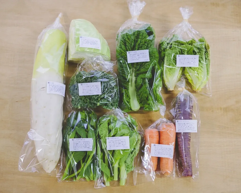 旨みと甘みの強い露地栽培＜旬の有機野菜セット＞農薬化学肥料不使用