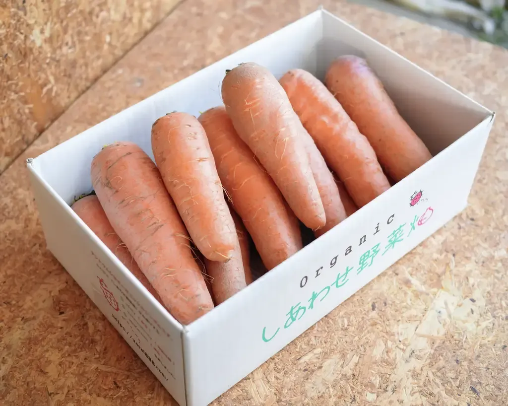 旬のにんじん 4.5kg＞農薬化学肥料不使用・静岡県産 オーガニック農園
