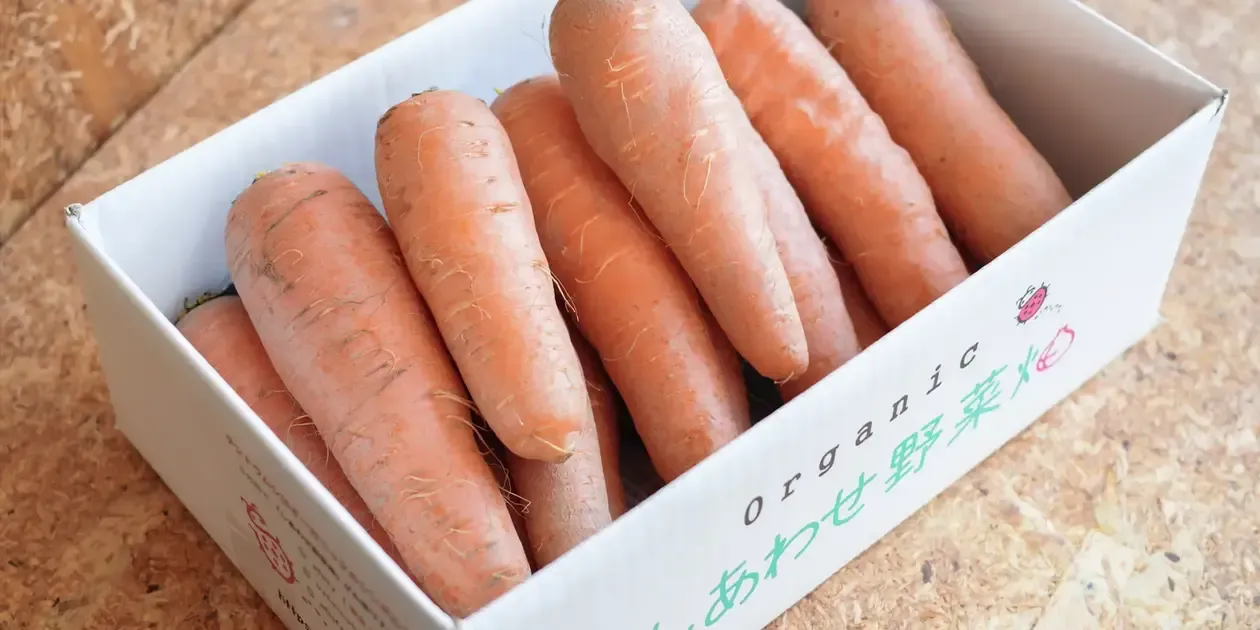 旬のにんじん 4.5kg＞農薬化学肥料不使用・静岡県産 オーガニック農園