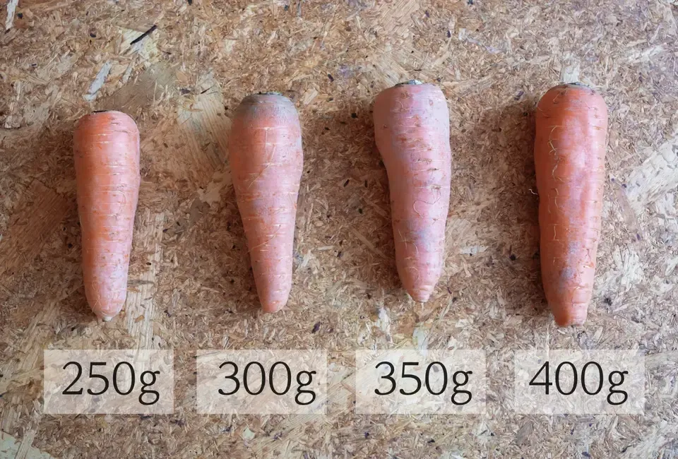 ＜旬のにんじん 4.5kg＞農薬化学肥料不使用・静岡県産 
