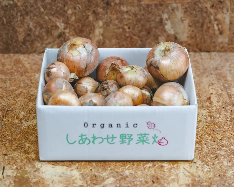 ＜有機たまねぎ 3kg＞農薬化学肥料不使用・静岡県産 