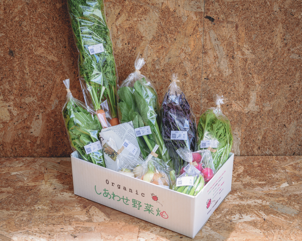 旨みと甘みの強い露地栽培＜旬の有機野菜セット＞農薬化学肥料不