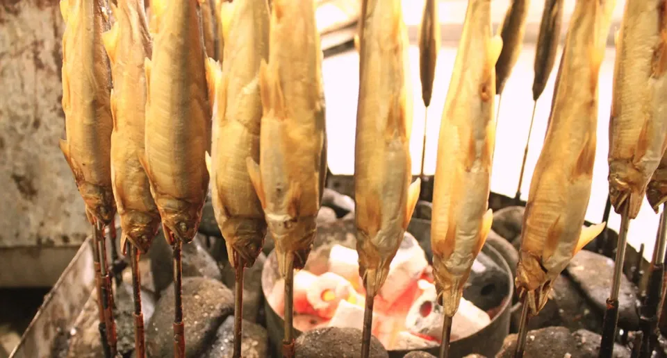 PET用ヒューマングレードペットフード［鮎の燻製］Smoked Sweetfish 