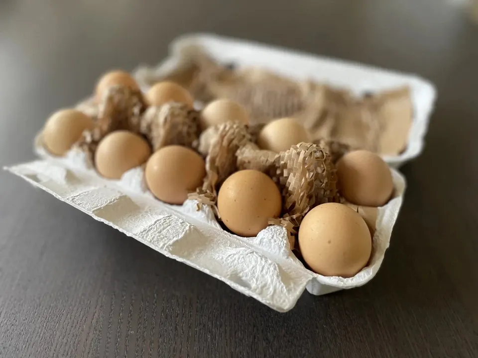 土佐ジローのたまご【放飼い有精卵】