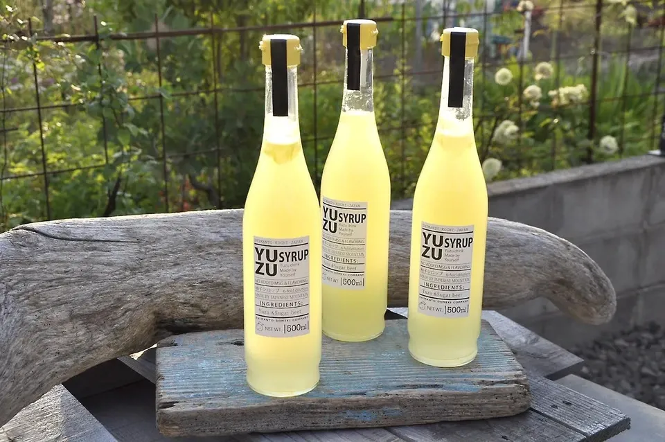 ゆず YAMAHA ZG02 オーディオインターフェイス 黒 開封済み