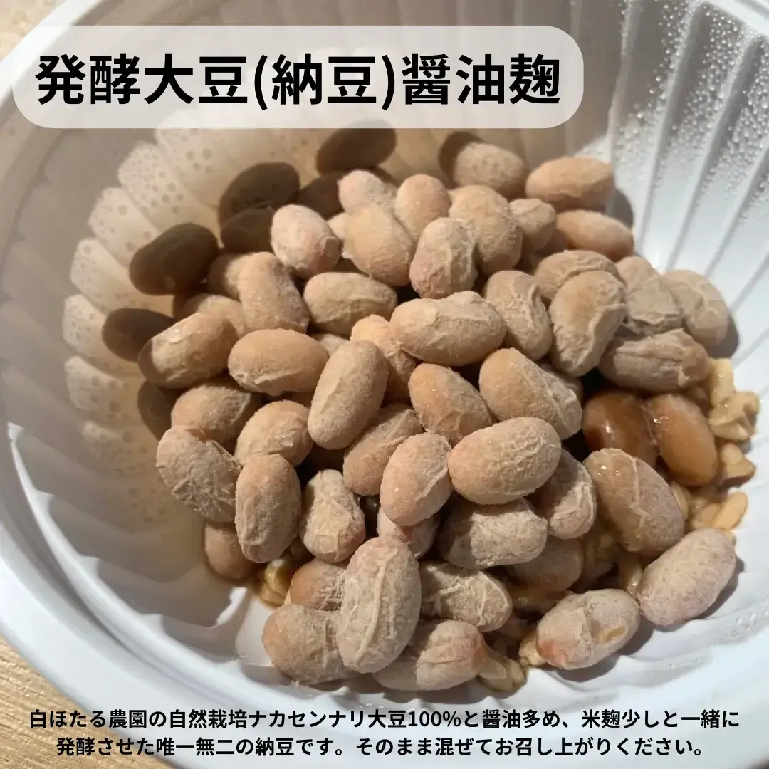 241218205608.webp