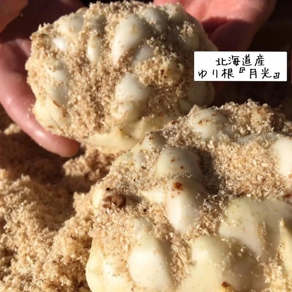 『白ほたる豆腐 手作りがんもどき』グルテンフリー 自然栽培大豆使用