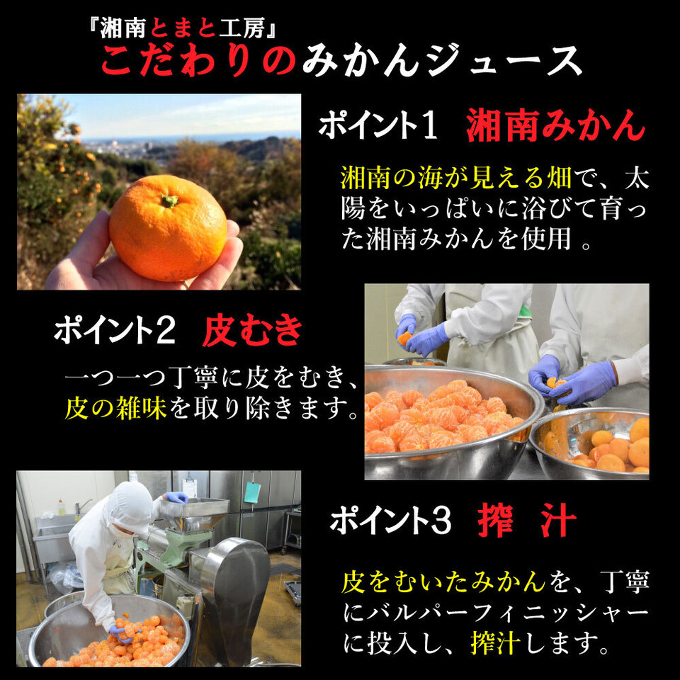 湘南無添加100％みかんジュースギフトセット