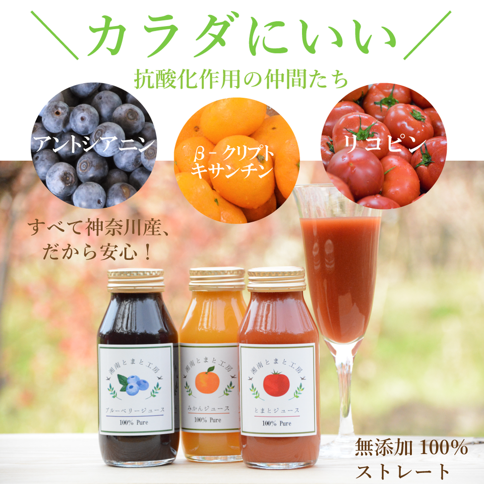 翔  ！河内みかん スイートスプリング ミニトマト セット 朝採れ最短発送！贈答用】 Premium Sweet 1kg フルーツミニ