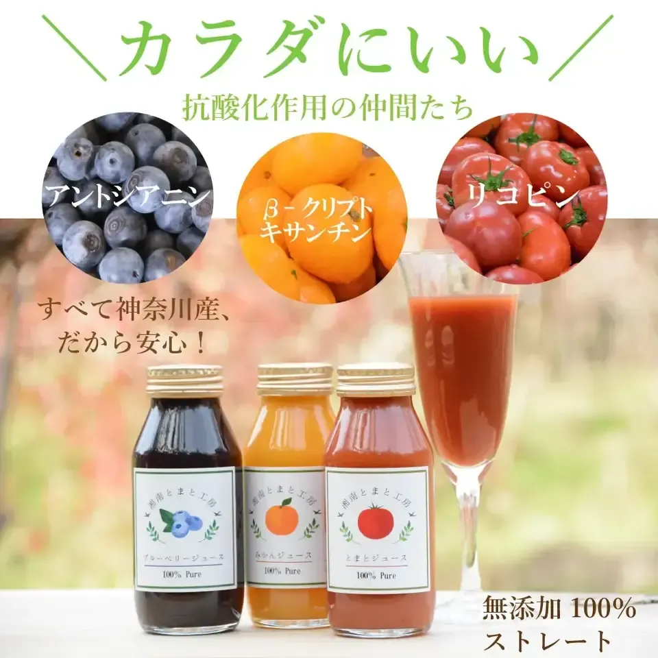 アルプス　無添加　100%トマトジュース　1000ml✖️12本　3ケースセット アルプス 無添加 100%トマトジュース 1000ml✖️12本 3ケース