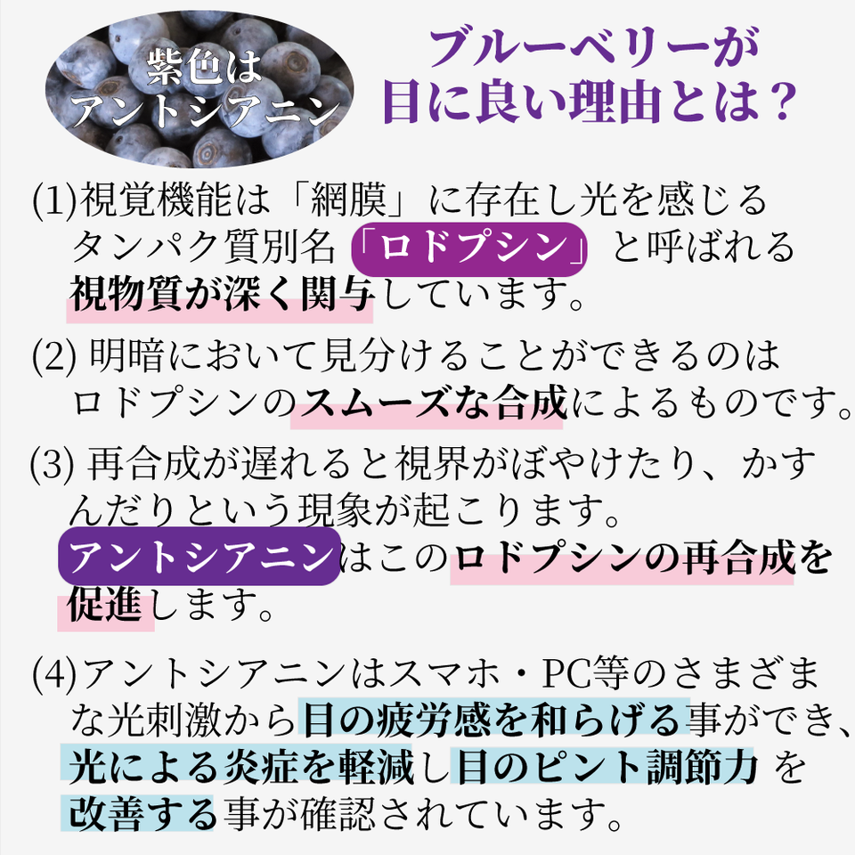 無添加100％ブルーベリージュースセット