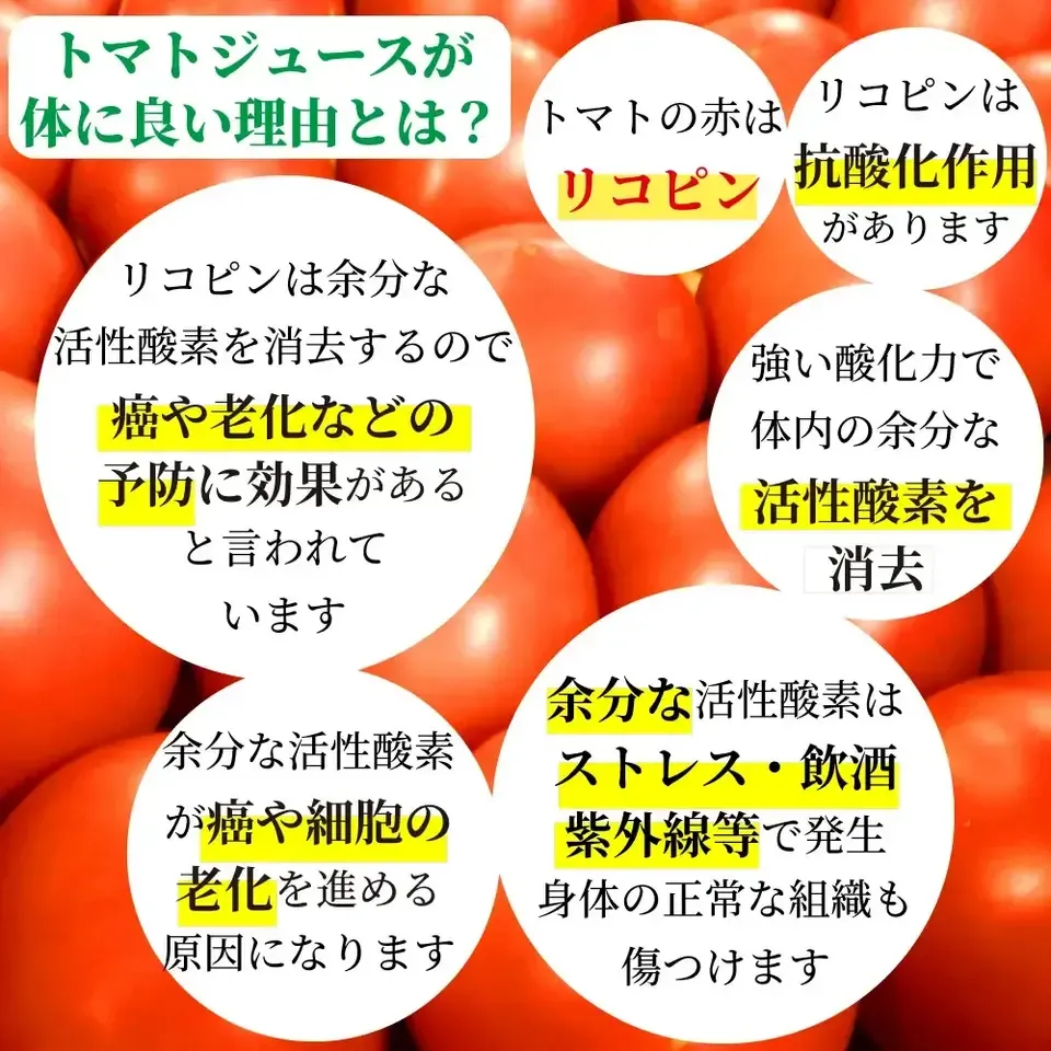 湘南無添加100％トマトジュースギフトセット