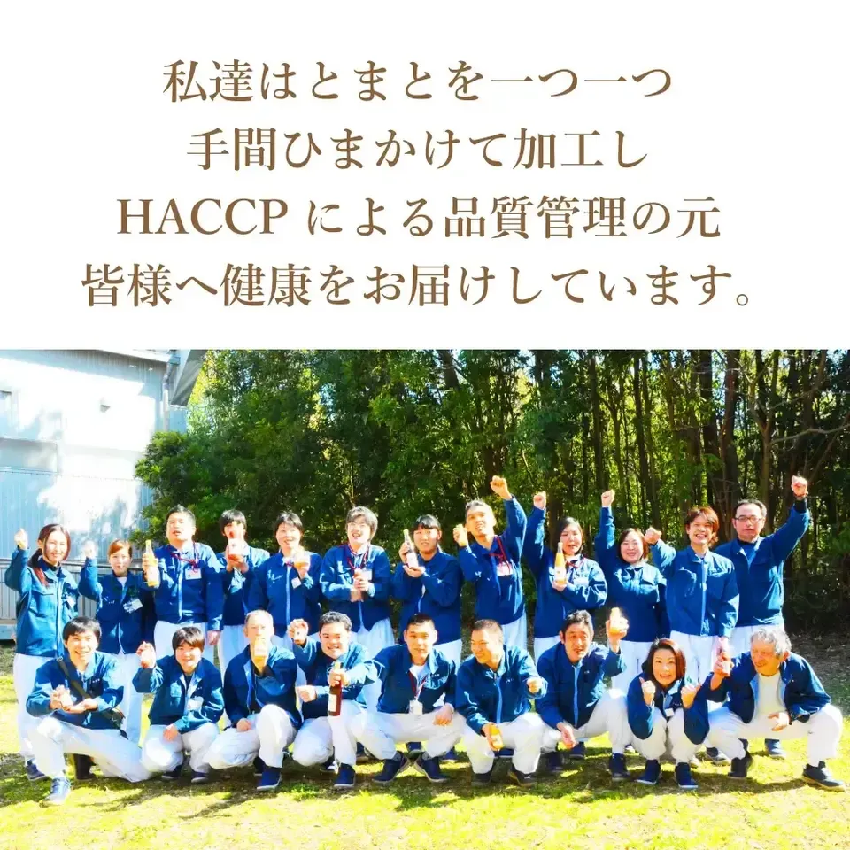 湘南無添加100％トマトジュースギフトセット