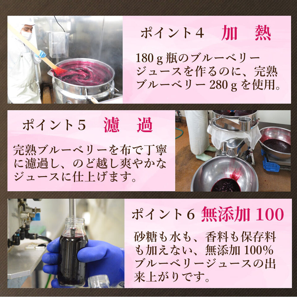 無添加100％ブルーベリージュースセット