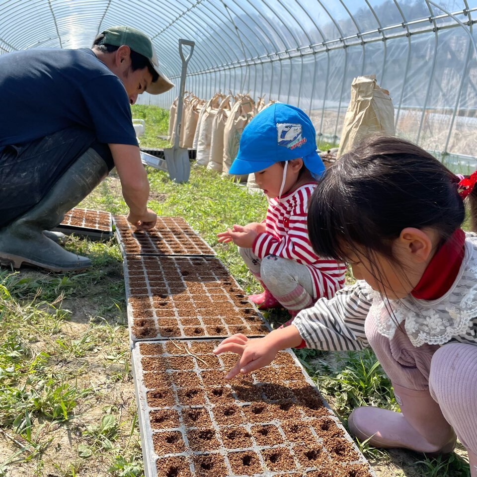 無農薬・無肥料　自然栽培の野菜セット（京都）