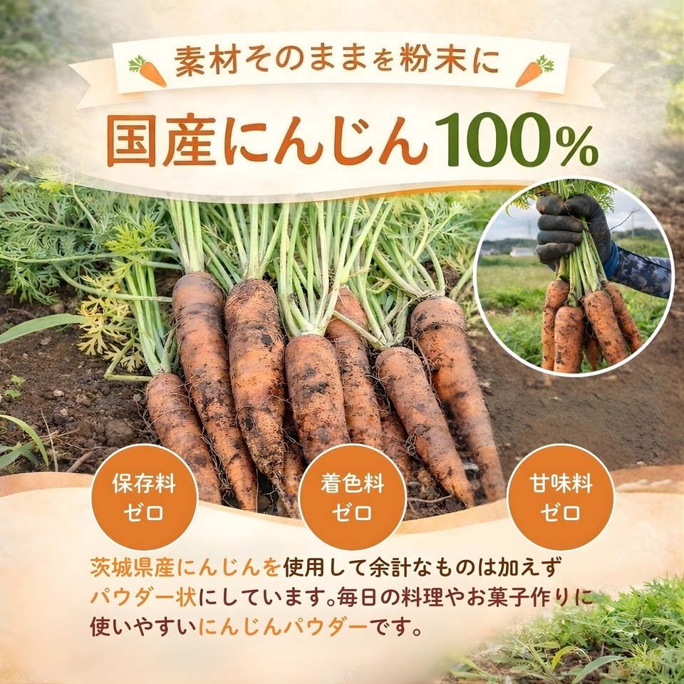 にんじんパウダー200g 茨城県産 さっとひと振りにんじんプラス。 ニンジンパウダー 人参パウダー