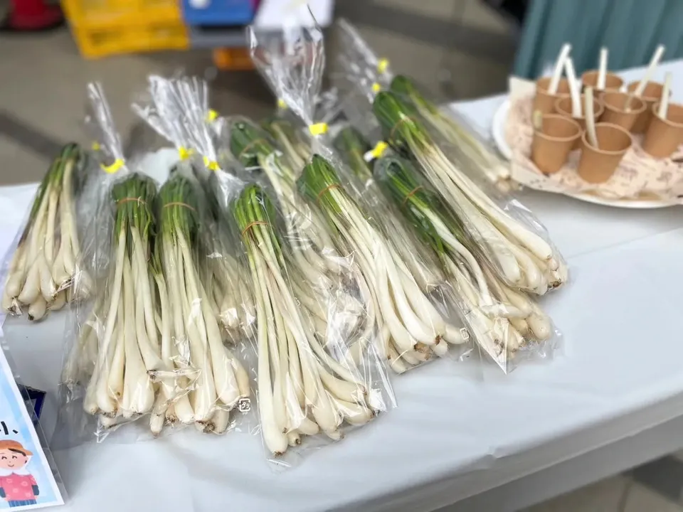 エシャレット(若採りらっきょう) シャキシャキ食感 味噌つけてそのまま丸かじり 茨城県産(農薬・化学肥料・除草剤・防虫剤不使用)