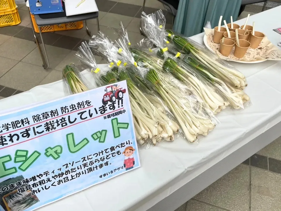 エシャレット(若採りらっきょう) シャキシャキ食感 味噌つけてそのまま丸かじり 茨城県産(農薬・化学肥料・除草剤・防虫剤不使用)