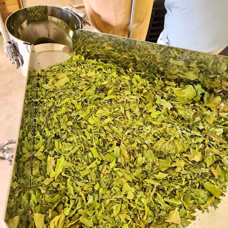 春キャベツまるごとパウダー 食物繊維を届ける春キャベツまるごとをそのまま粉末に 茨城県産(農薬・化学肥料・除草剤・防虫剤不使用)