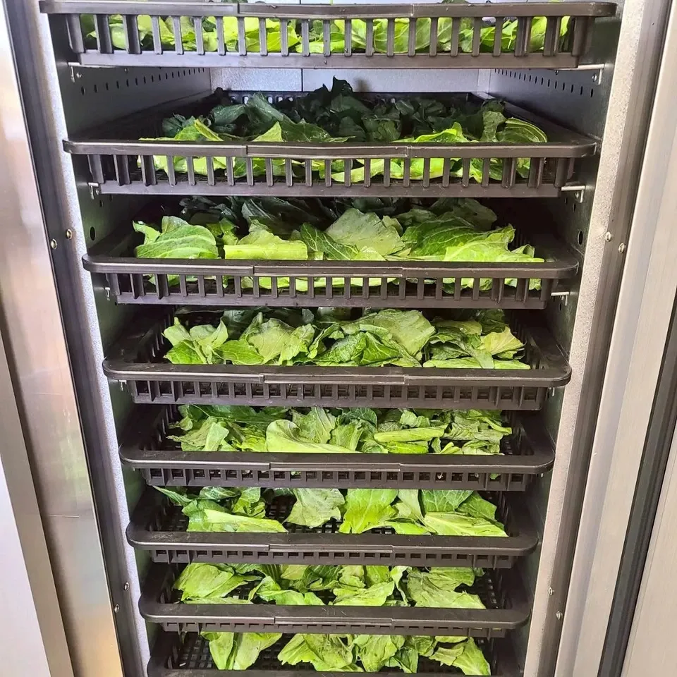 春キャベツまるごとパウダー 食物繊維を届ける春キャベツまるごとをそのまま粉末に 茨城県産(農薬・化学肥料・除草剤・防虫剤不使用)