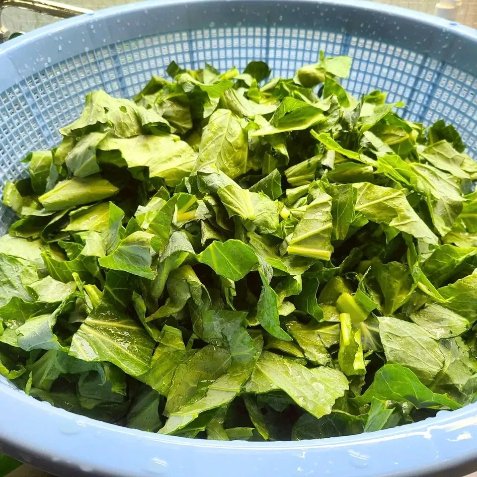 春キャベツまるごとパウダー 食物繊維を届ける春キャベツまるごとをそのまま粉末に 茨城県産(農薬・化学肥料・除草剤・防虫剤不使用)