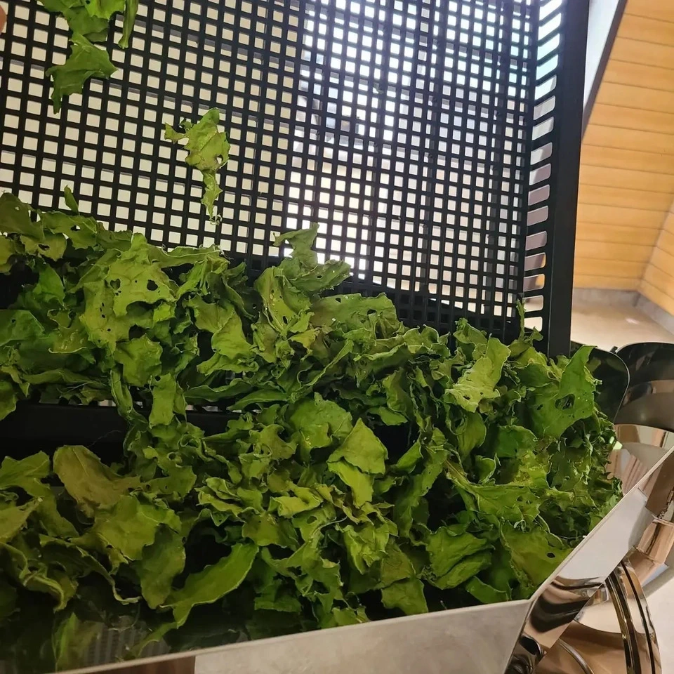 ケールパウダー βカロテンを届けるこだわり栽培のケールをそのまま粉末に 茨城県産（栽培期間中農薬・化学肥料・除草剤・防虫剤不使用）