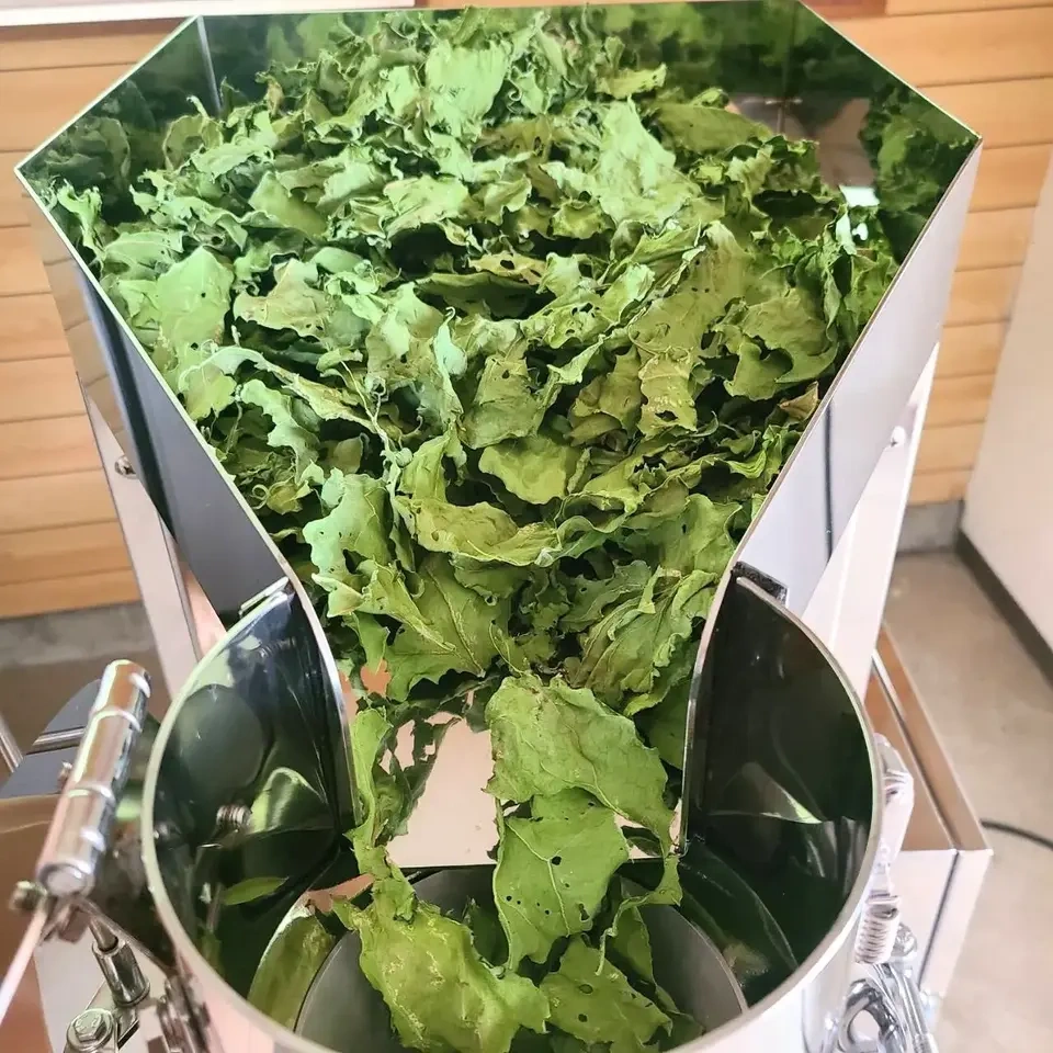ケール×ビーツ 野菜パウダー 2種お試しセット 30g×2 茨城県産(栽培期間中農薬・化学肥料・除草剤・防虫剤不使用)