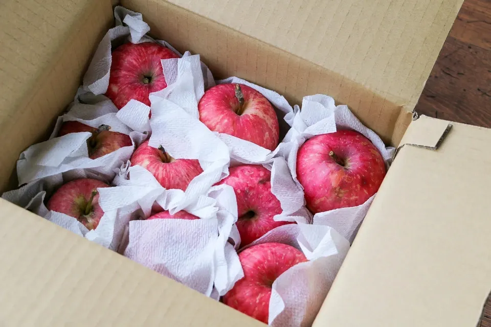 青森県弘前市・自然栽培＜リンゴ＞農薬不使用・無肥料 杉山自然栽培