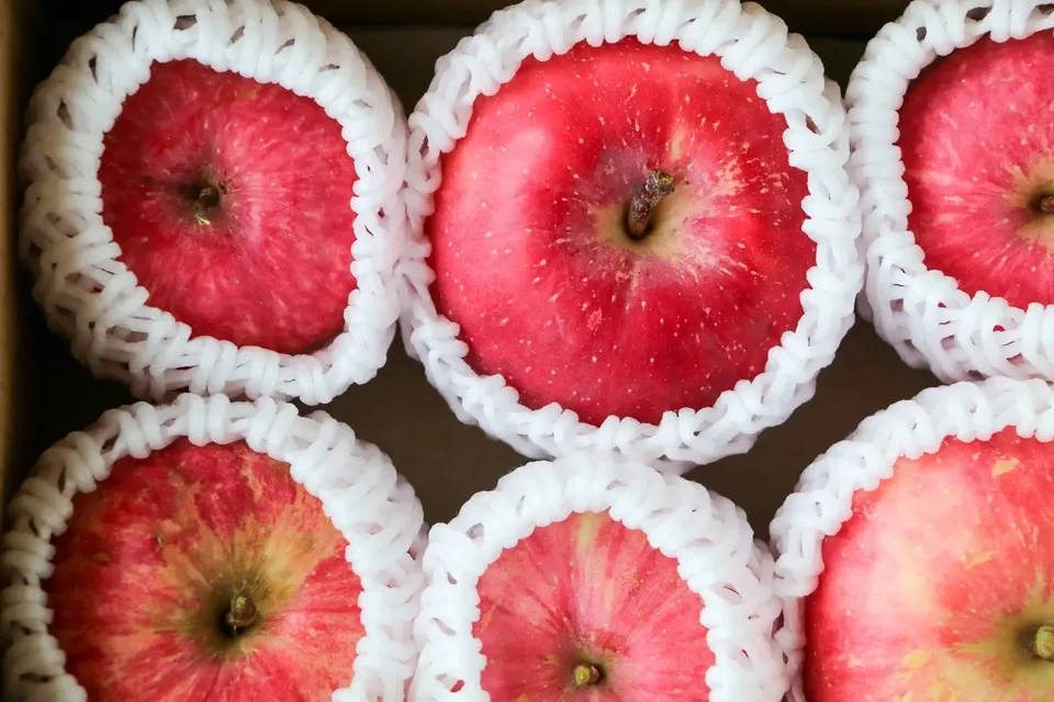 青森県弘前市・自然栽培＜リンゴ＞農薬不使用・無肥料 杉山自然栽培