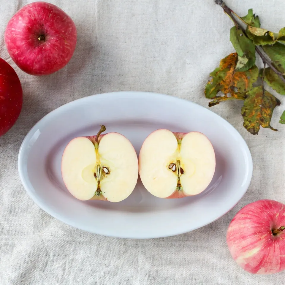 津軽 りんご 成木 有機栽培 津軽 りんご 成木 有機栽培