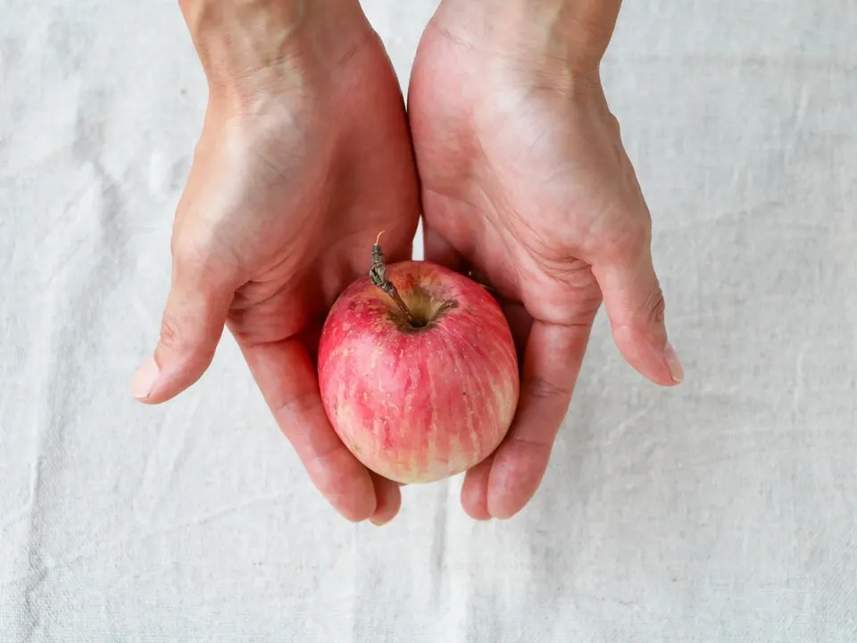 青森県弘前市・自然栽培＜リンゴ＞農薬不使用・無肥料 杉山自然栽培