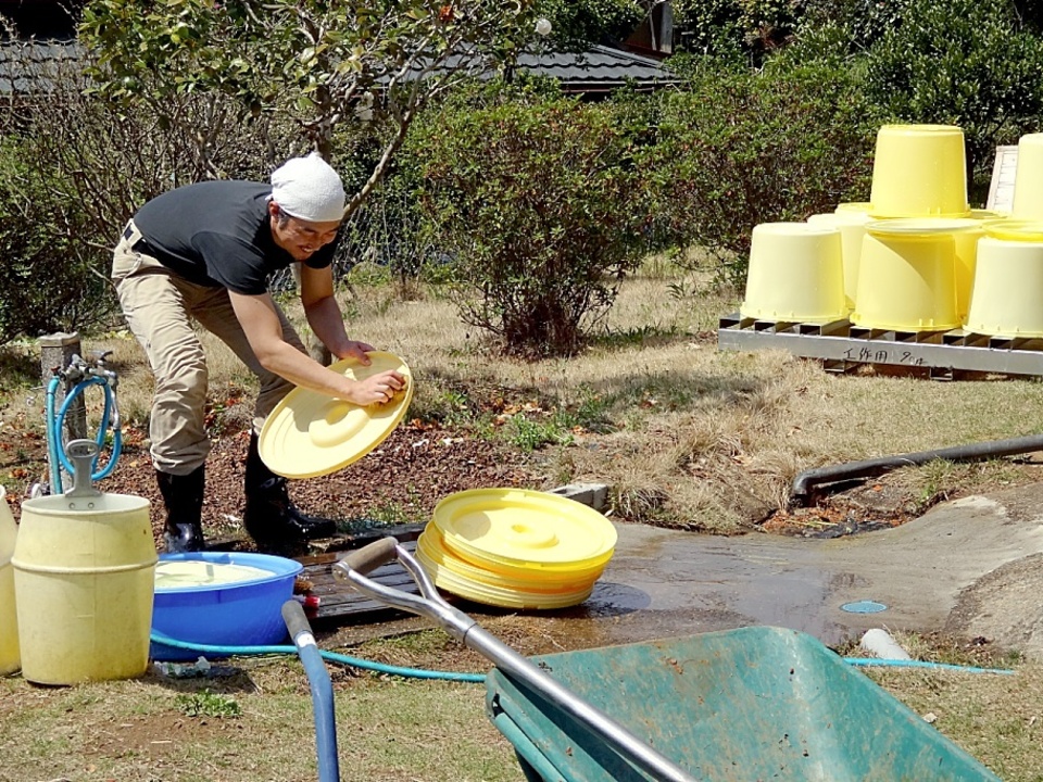 酵素酢 柿の神髄 ギフト用