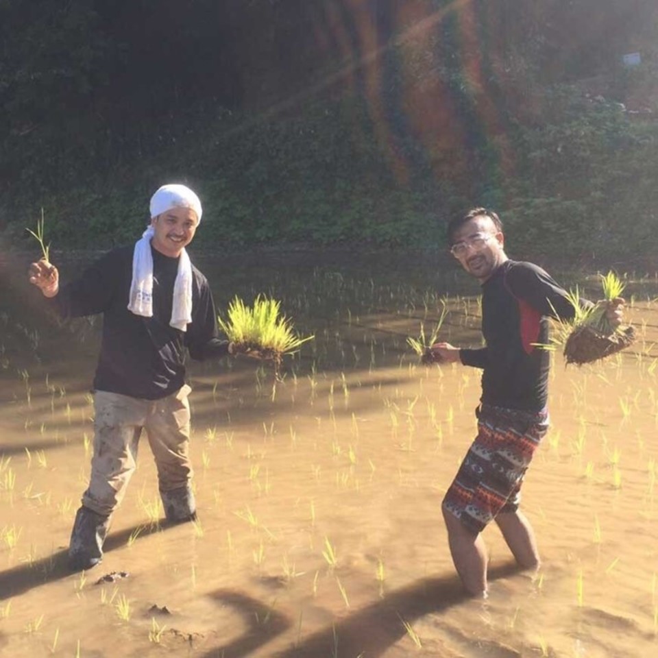 熊本水遺産の湧き水でつくる天日干し米 - 九州オーガニックファーム