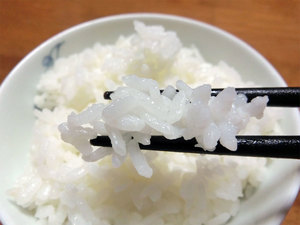 令和3年産 古古古米 鹿児島県産 無農薬 ヒノヒカリ 令和3年産 古古古米 鹿児島県産 無農薬 ヒノヒカリ 令和3