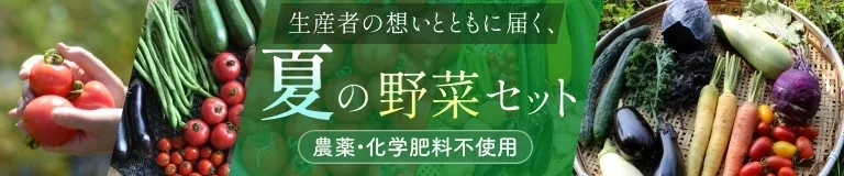夏の野菜セット