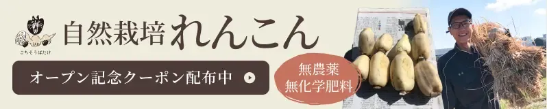 gochisoub_op_cp