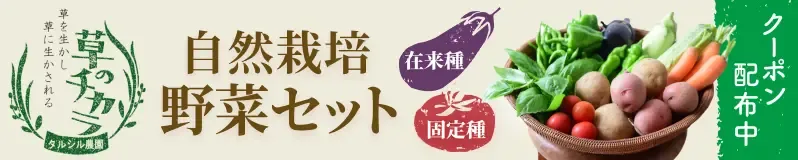 tarushirun_op_cp