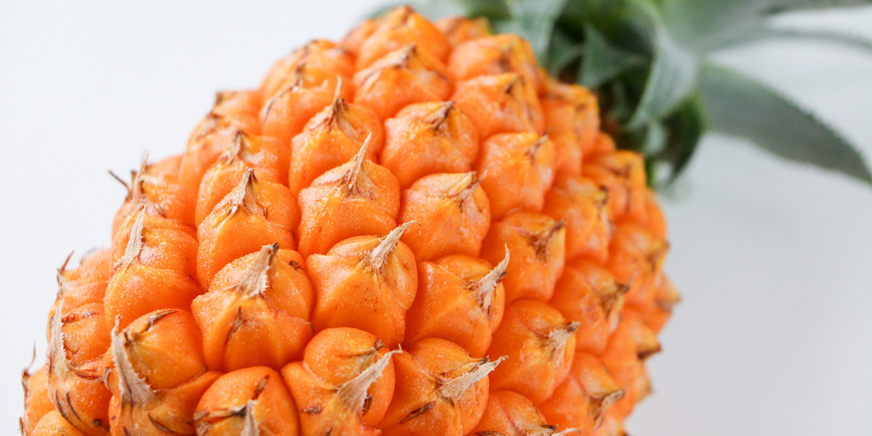 ◾︎無農薬ボゴールパイン 5kg ◾︎無農薬ボゴールパイン 5kg ボゴールパイン 5月上旬発送開始
