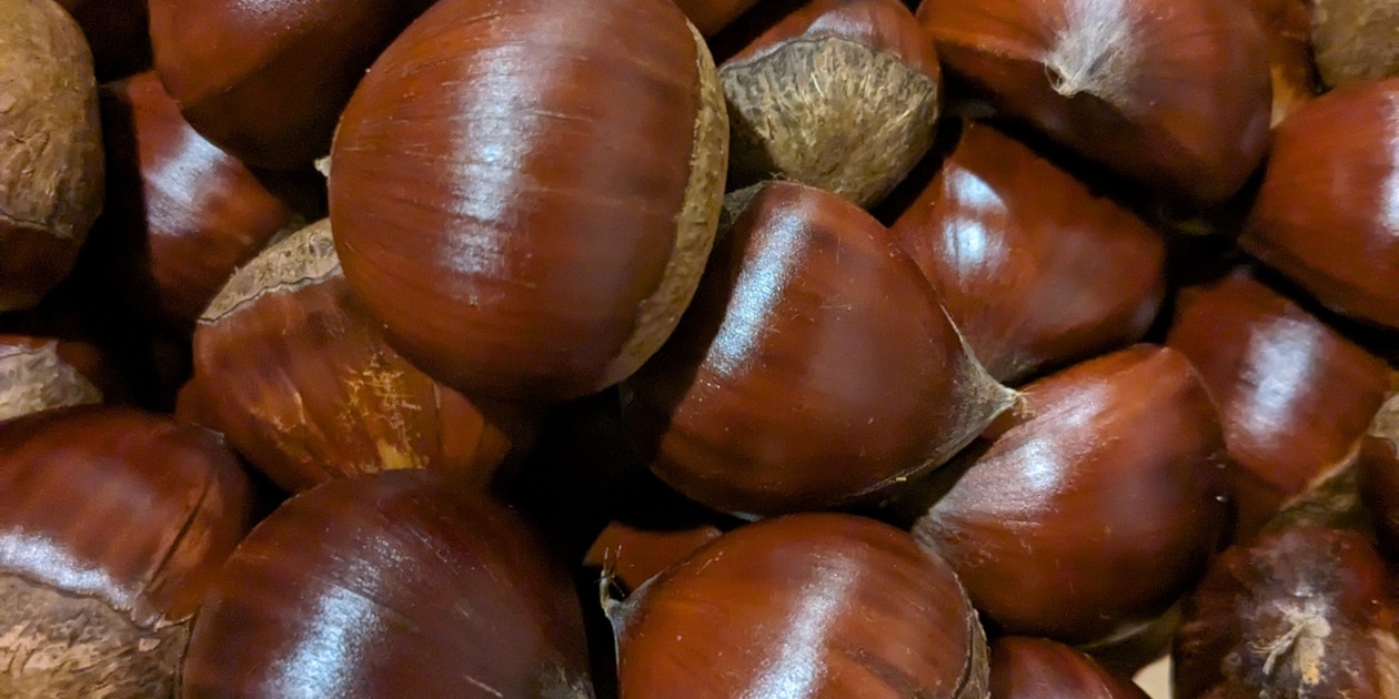 栗商品一覧 | 無添加・無農薬の食品ネット通販 - たべるとくらすと