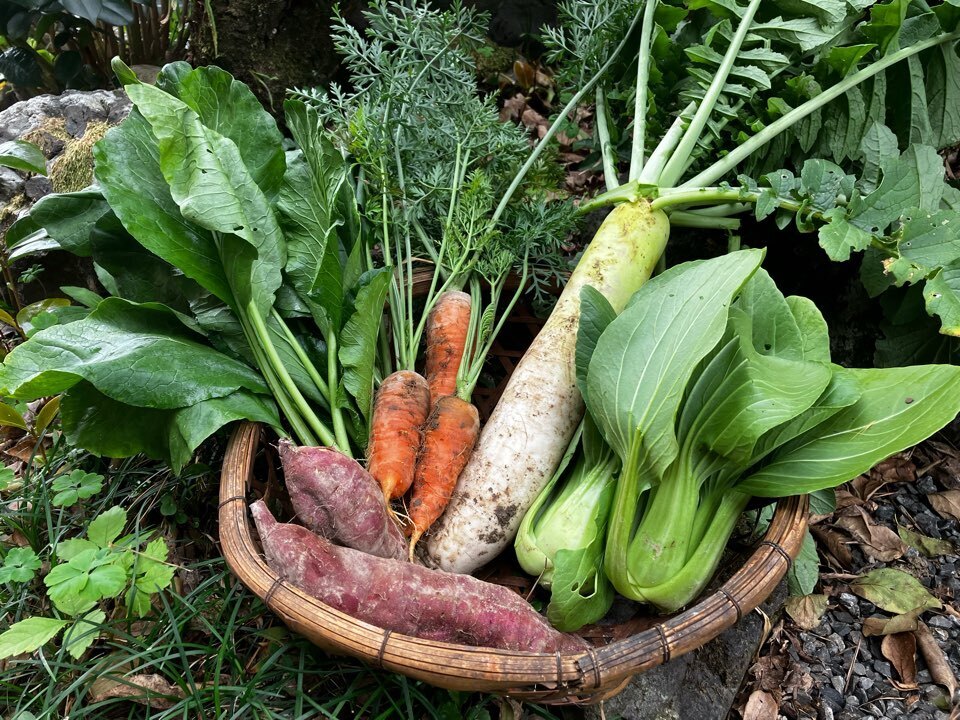 無農薬野菜セット｜旬の詰め合わせ｜たべるとくらすと - たべるとくらすと