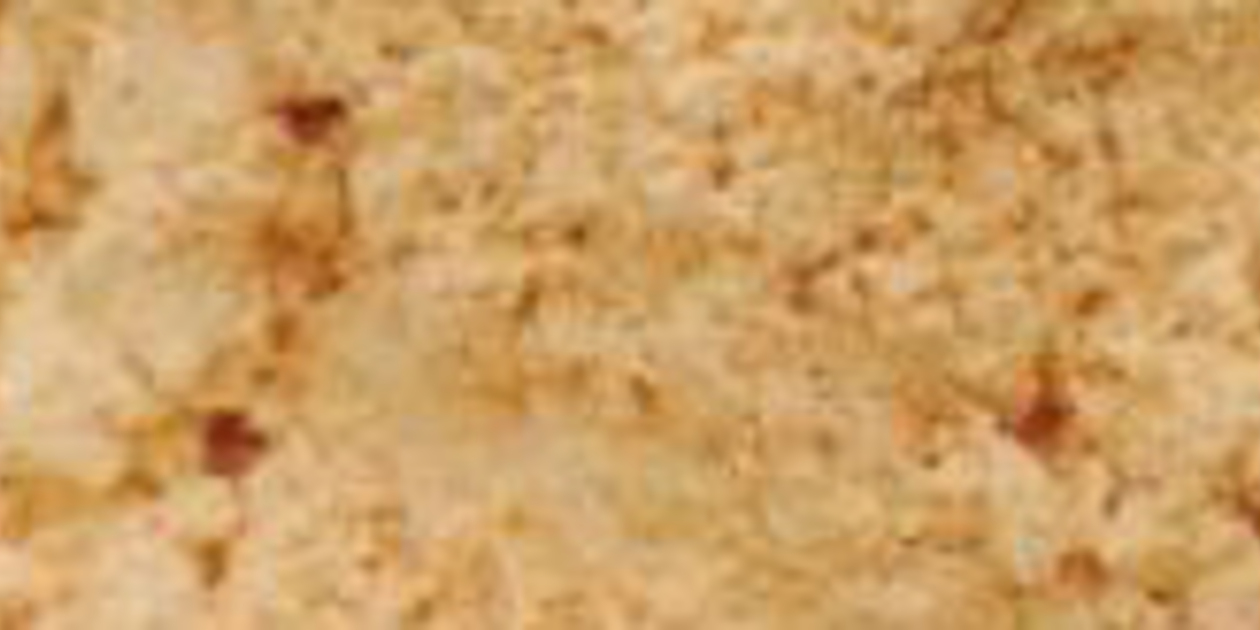 こだわり　無農薬ヌカ、無農薬玄米カイロ♡オーダーメイド♡ 楽天市場 | 玄米カイロのお店 COCOFA - 玄米カイロなど、温め