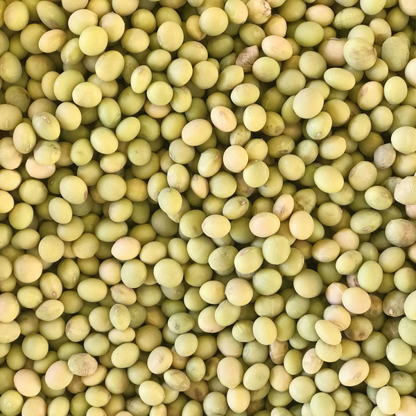 健康食品の通販｜無農薬・無添加の脳活・免疫食材 - たべるとくらすと