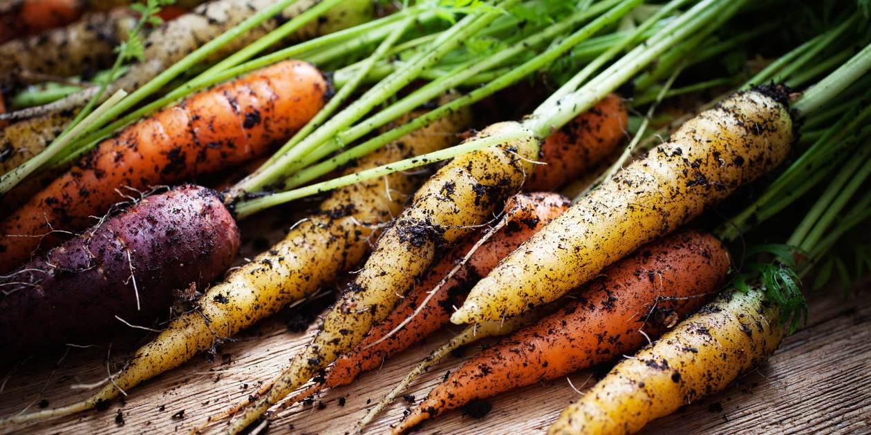 にんじんの食材ノート 無添加 無農薬のこだわり生産者直売モール たべるとくらすと