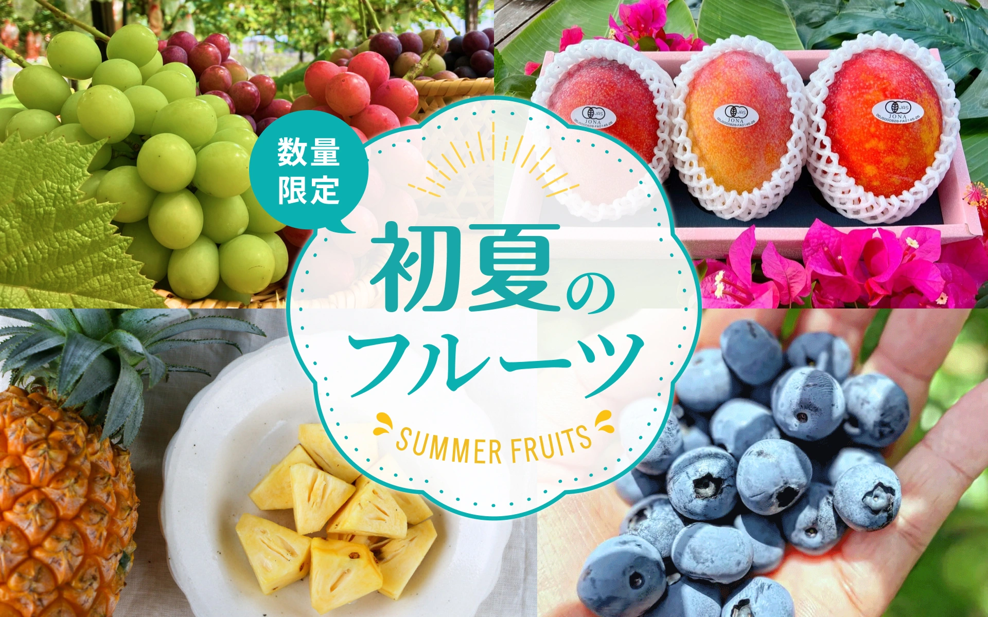 小糸の在来大豆【味噌づくりにも！無農薬・無肥料・天日干し】 ののま