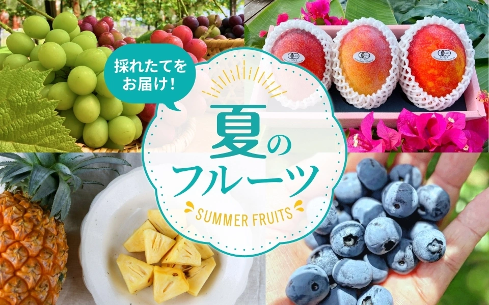 訳あり商品【加工用】無農薬栽培サツマイモ（紅あずま） 種to菜園