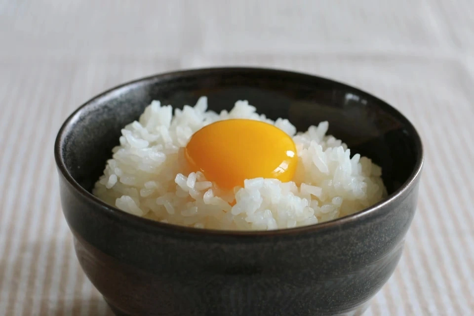 自然栽培もち米【ひよくもち】令和7年度産 無農薬無肥料の自然栽培もち