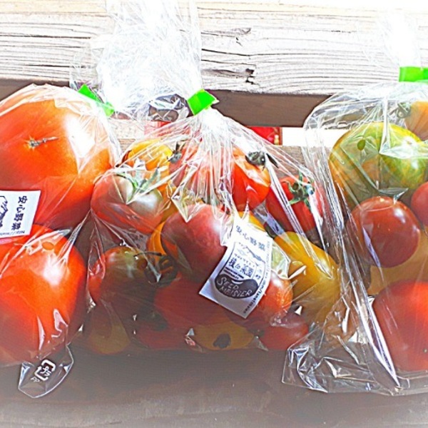 トマト カピオトマトセレクト Lサイズ（おまかせ2〜3品種の詰め合わせ1kg