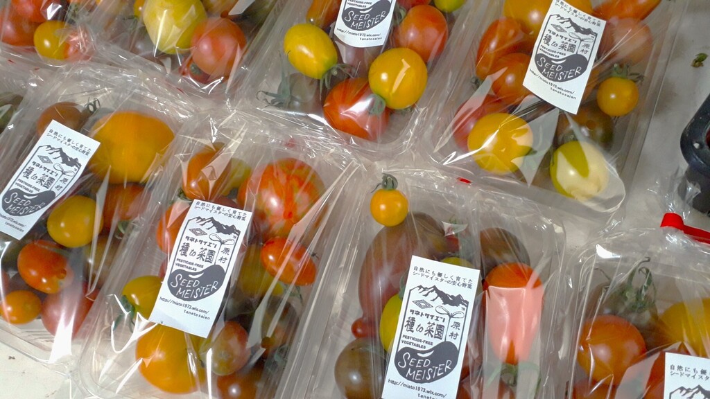 2025終了》無農薬とまといろいろ 種to菜園 (長野県産) トマト通販