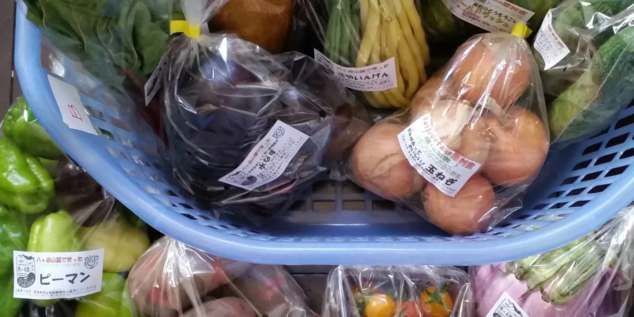 シードマイスターが作る無農薬季節の変わり野菜セット 種to菜園 (長野