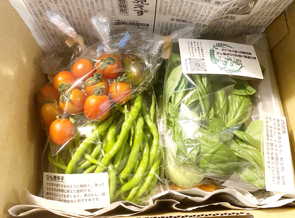 草の堆肥と雨水だけの自然農法で育てた旬の固定種野菜セット【農薬不使用・無肥料】